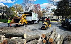 Best Leaf Removal  in Rossford, OH